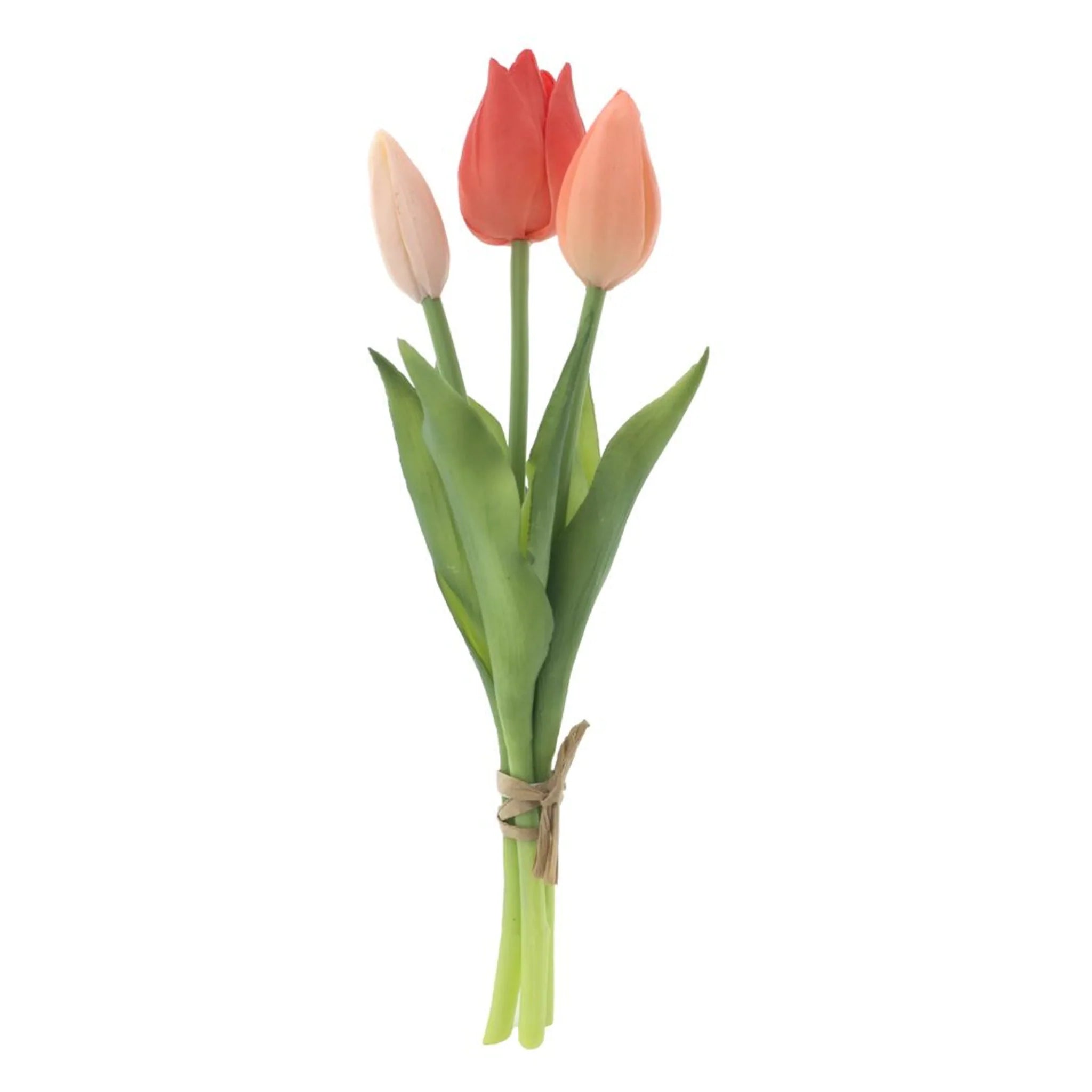Tulpen gekleurd 3 stuks