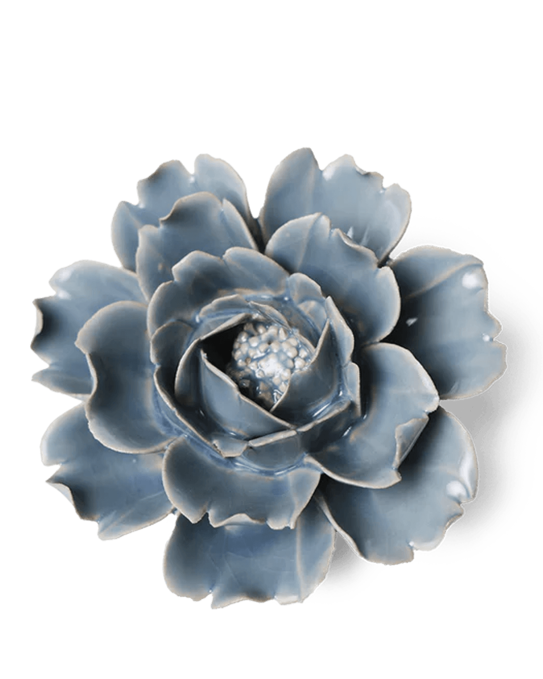 English Garden Pastel Blue Rose  SoMuch Fashion
