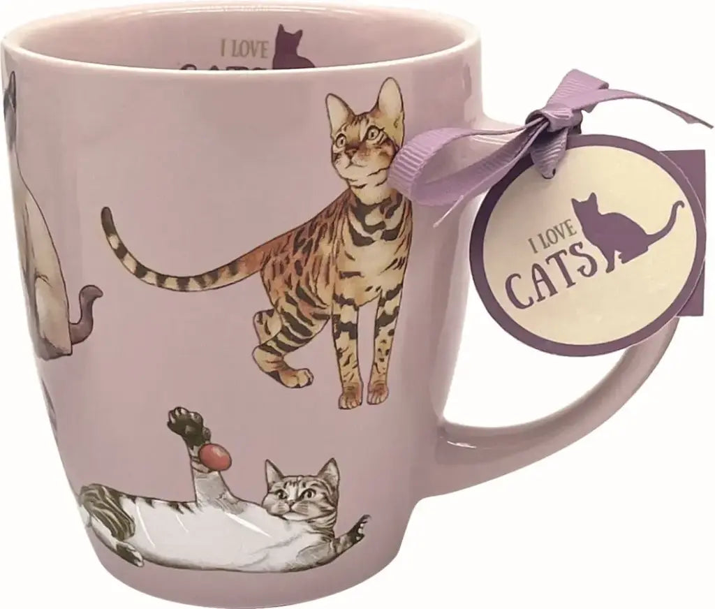Prachtige porseleinen mok Cats - SoMuch Fashion