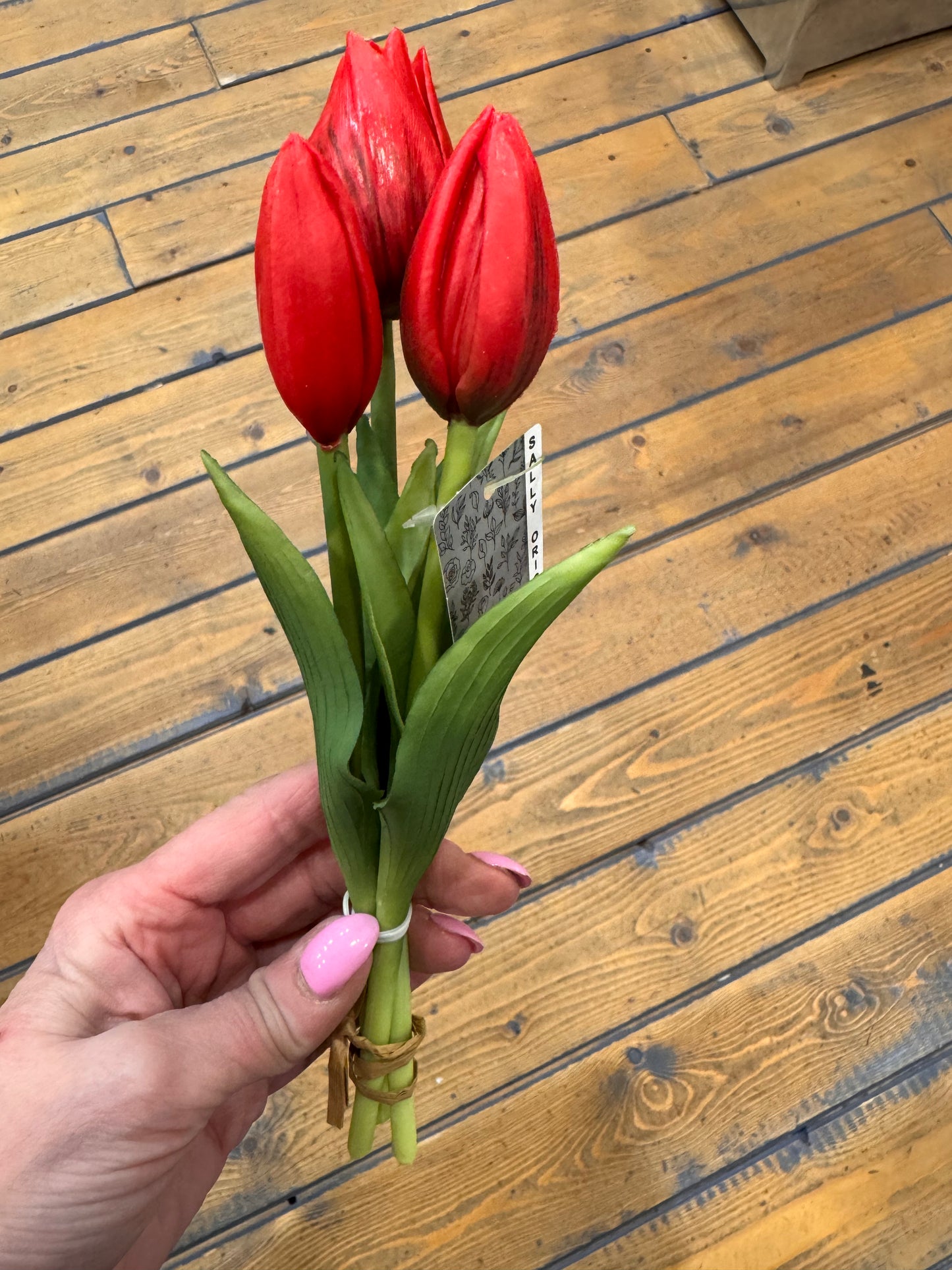 Tulp Effen 3 stuks