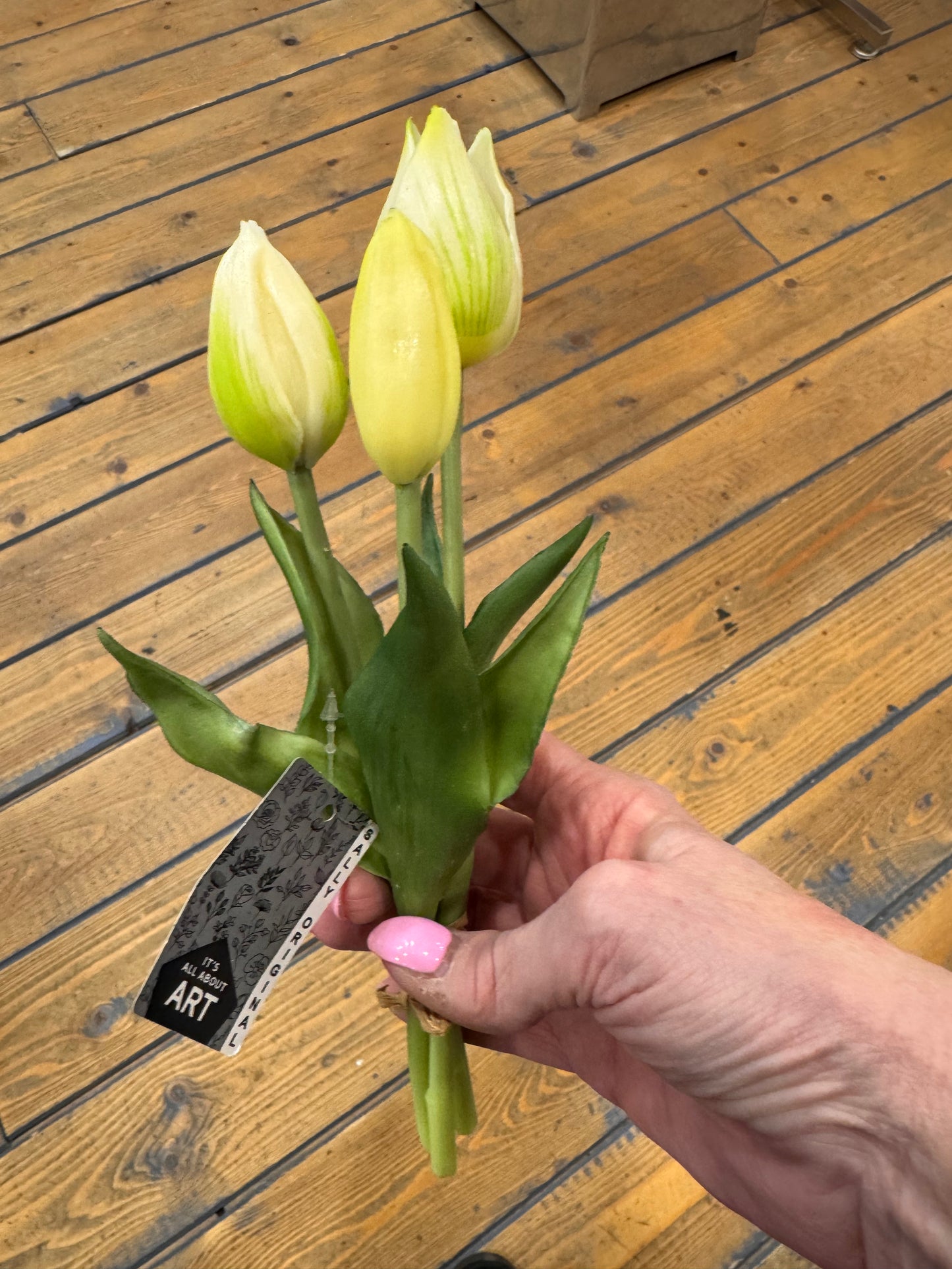 Tulp Effen 3 stuks