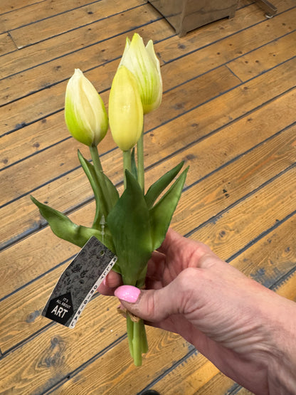 Tulp Effen 3 stuks