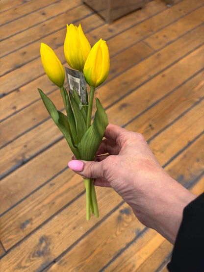 Tulp Effen 3 stuks