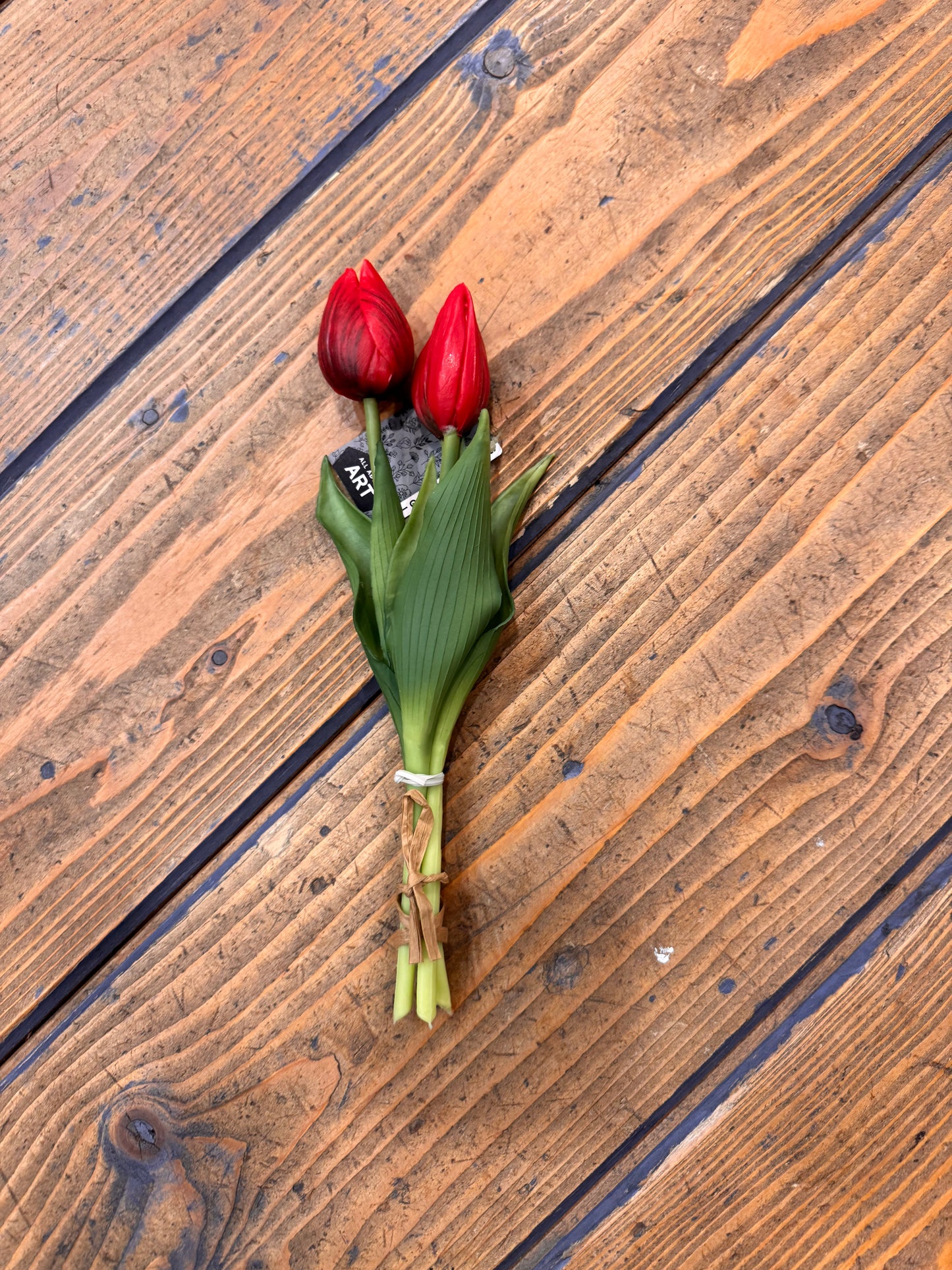 Tulp Effen 3 stuks