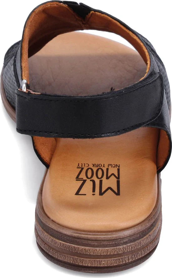 Devon  36 Zwart