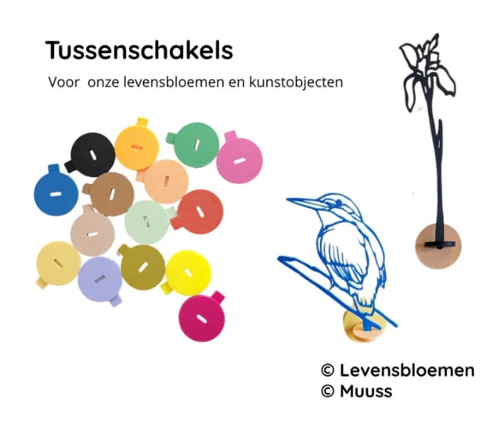 Tussen schakels MUUSS