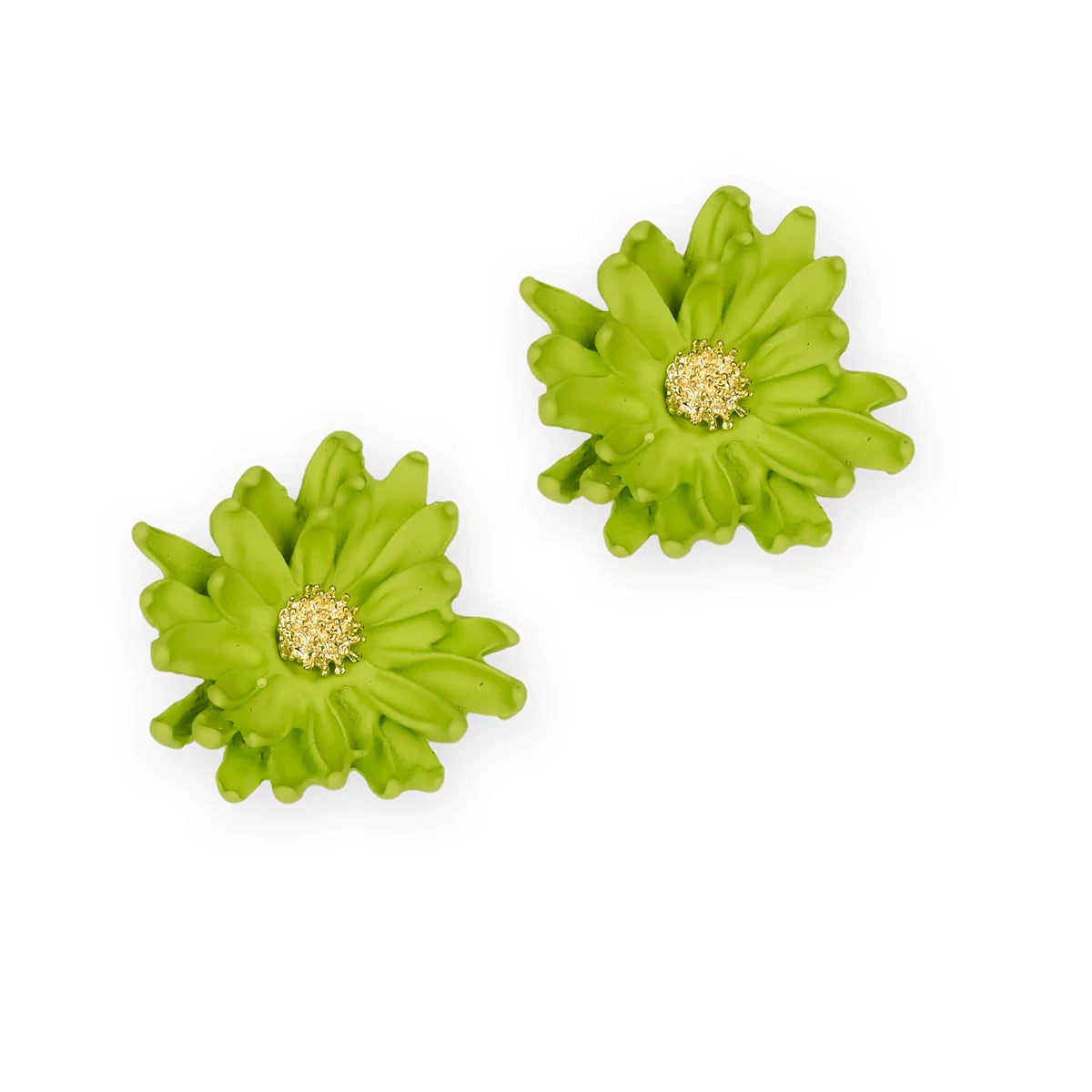 Limepunch Bellis