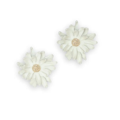 Marshmallow Bellis