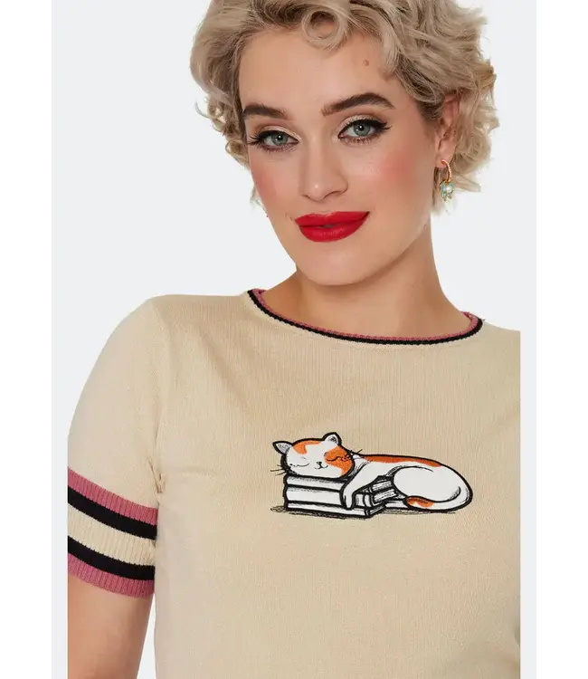 Cat asleep on a book sweater