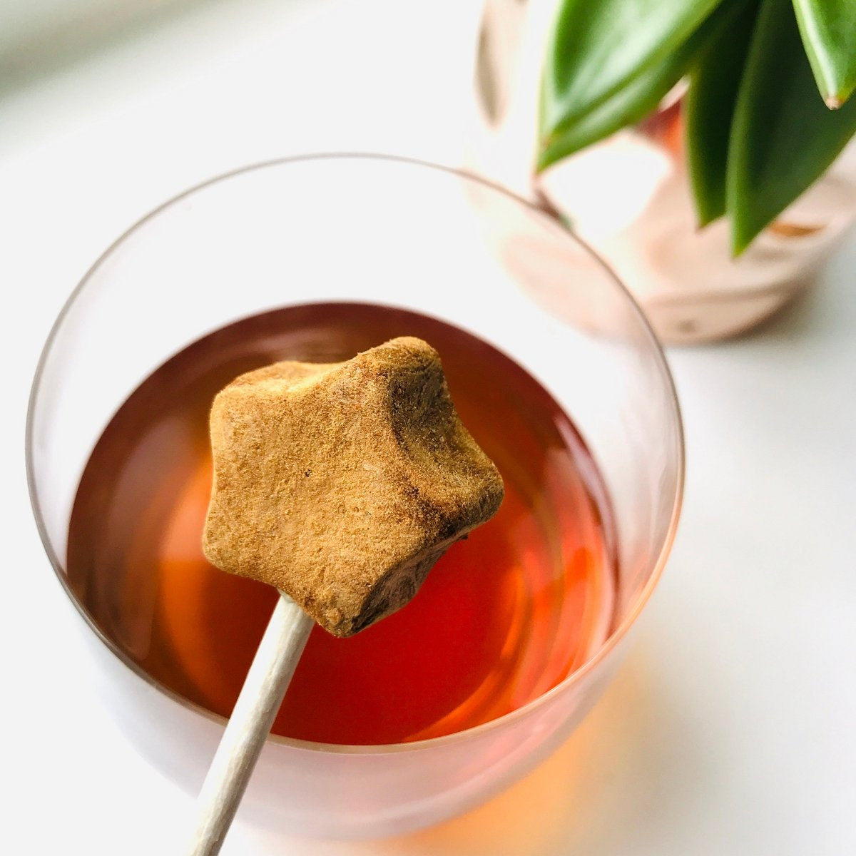 Darjeeling TEA on-a-stick