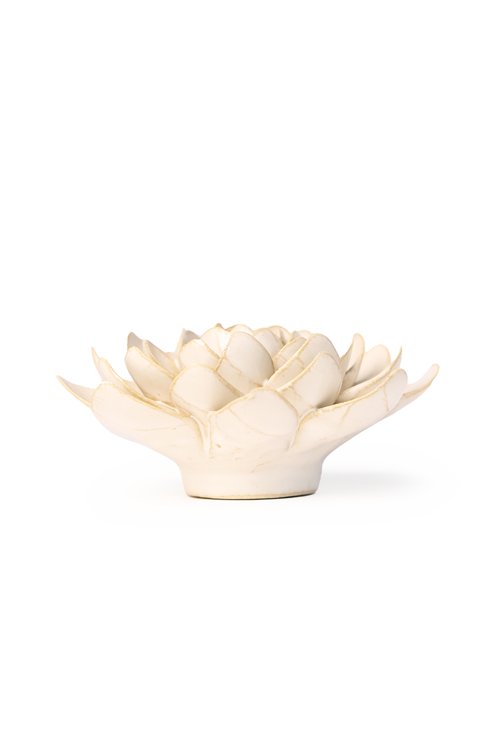 Ceramic Flower Wall Accessories Ivory Snowdrop - SoMuch Fashion