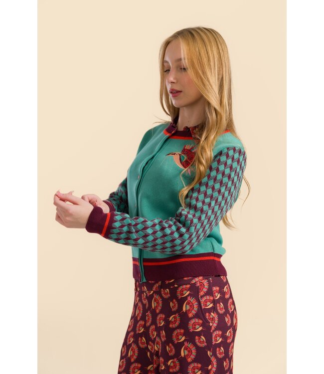 Cardigan Bird of Paradise