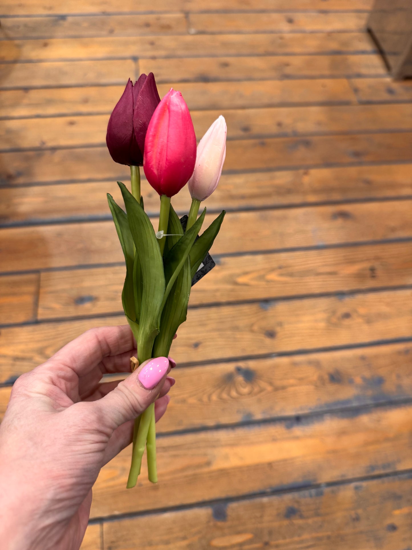 Tulpen gekleurd 3 stuks