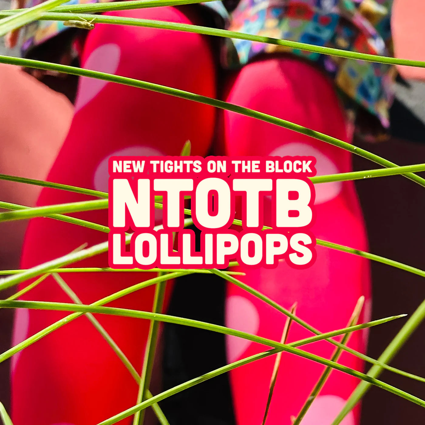 Lollipops tights
