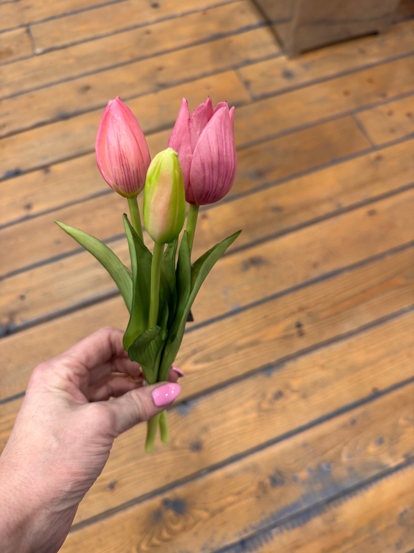 Tulpen gekleurd 3 stuks
