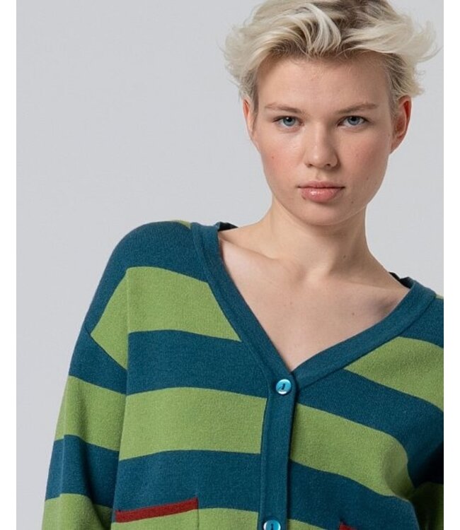 V Neck Cardigan green